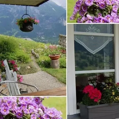 Burgstein, Silberdistel Apartament Grindelwald