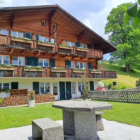 Apartament Burgstein, Silberdistel Grindelwald